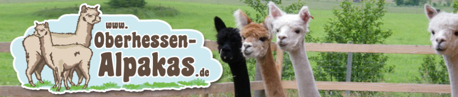 Oberhessen-Alpakas, Alpakazucht Herbstein, Alpakawolle Herbstein